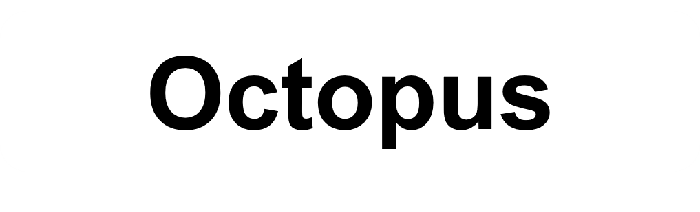 Octopus2
